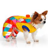 Macacão Palhacinho Bichinho Chic para Cães - Bichinhochic