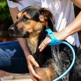 Mangueira Para Pet SPRAY Massageadora Banho Em Animais Com Luva - Wd