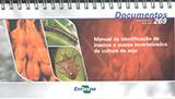 Manual de Identificação de Insetos e Outros Invertebrados da Cultura da Soja - Embrapa