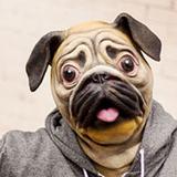 Máscara Cachorro Pug - Archie mcphee