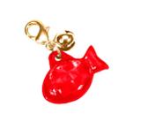 Medalha Identificadora Para Gatos Coastal