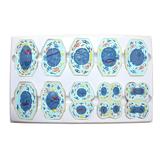 Meiose Conjunto com 10 peças Modelo Anatomia - Anatomic