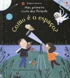Meu primeiro livro dos porquês : Como é o espaço?