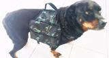 Mochila Para Cães Tamanho G - Molinas pet