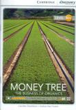 Money tree with online access - Cambridge university