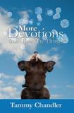 More Devotions from Everyday Things - Wordcrafts, llc