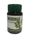 Moringa Oleifera 60 Cápsulas 500 mg - Sebastião rocha de souza - me