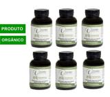 Moringa Oleifera Capsulas (Kit com 06 potes) - 100% Natural - Dacov - Dacov cosméticos