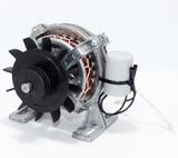 Motor Para Tanquinho Premium 3.0 Kg 220v - Original - Erle