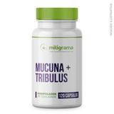 Mucuna 200mg + Tribulus 250mg Cápsulas - Miligrama