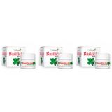 Multinature Basilicão Pomada 15g (Kit C/03)