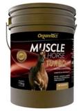Muscle Horse Turbo Organnact 15 Kg - Brinde 1 Colete Exclusivo