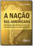Nacao sul - americana: efetivacao dos direitos hum - Appris
