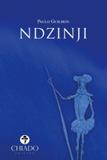 Ndzinji - Chiado books