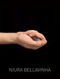 Niura bellavinha - em torno da luz - Nau editora