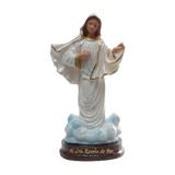 Nossa Senhora Rainha da Paz 20cm em Resina - Imagens januzzi