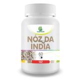 Noz da Índia 500mg 60 Cápsulas - Planet nutry