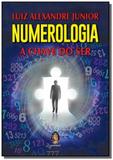 Numerologia a chave do ser - Madras