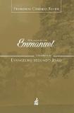 O Evangelho por Emmanuel : Comentários ao Evangelho segundo João - Feb editora