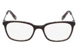 Óculos de Grau Nine West NW8003 219/51 Tartaruga Marrom