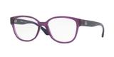 Óculos de Grau Tecnol TN3039 E769 Roxo Translúcido Lente Tam 53