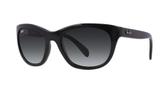 Óculos Ray-Ban RB4216 601 11