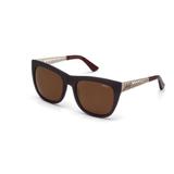 Oculos Sol Colcci C0009 Fume Fosco C Dourado Fosco L Marrom Fl D