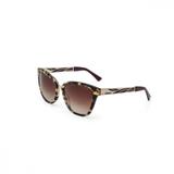 Oculos Sol Colcci C0036 Demi AmareloBril Dourado Fosco L Mar