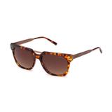 Óculos Solar Colcci 5024 Demi Marrom/L. G15