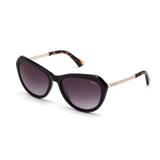 Óculos solar colcci c0012a2533 preto brilho haste dourado