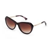 Óculos solar colcci c0012j1174 preto brilho l marrom