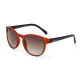 Oculos Solar Colcci June C0057j4334 Pessego Fosco