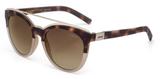 Óculos solar colcci nina c0097fc334 demi nude l marrom
