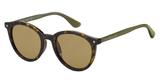 Óculos solar feminino tommy hilfiger th1551/s 086/70 havana medidas 51-21-140