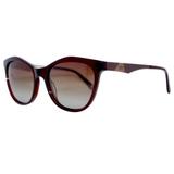Óculos Solar Sabrina Sato Modelo SS409 - C3- Marrom Acetato Lente Polarizado Medidas 54-19-142