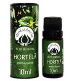 Óleo Essencial De Hortelã Pimenta / Mentha piperita 10 ml - Bioessência