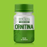 Ornitina 300 mg - 60 cápsulas