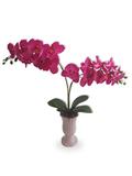 Orquídea Double Fúcsia De Luxo Arranjo Flor Artificial Com Vaso Lilás Em Cerâmica - Flordecorar