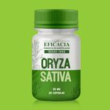 Oryza sativa 50 mg - 60 cápsulas - 30