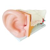 Ouvido Ampliado 3x em 6 Partes - Sdorf