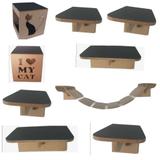 P l a y g r o u n d para gatos brinquedo toca - Pet in box