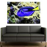 Painel Adesivo de Parede - Blue Tang - 070png - Allodi
