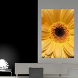 Painel Adesivo de Parede - Flor - 100png - Allodi