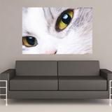 Painel Adesivo de Parede - Gato - 205png - Allodi