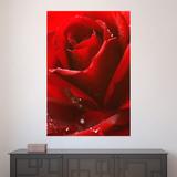 Painel Adesivo de Parede - Rosa - 530pnm - Allodi