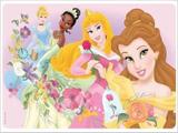 Painel de Festa Disney Princesas 03 - Colormyhome