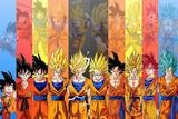 Painel de Festa Dragon Ball Goku 08 - Colormyhome