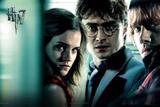 Painel de Festa Harry Potter 04 - Colormyhome