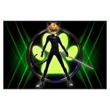 Painel de festa Infantil Cat Noir 1.50m X 1.00m - Wrio