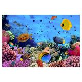 Painel de festa Infantil Fundo do Mar Peixes 3.00m X 1.70m - Wrio